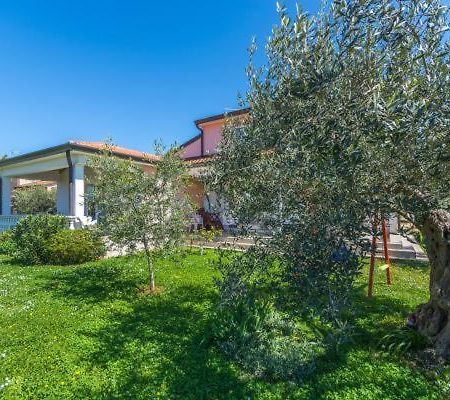 Apartment Liam Novigrad Istria Eksteriør bilde