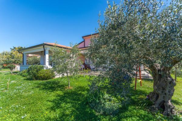 Apartment Liam Novigrad Istria Eksteriør bilde